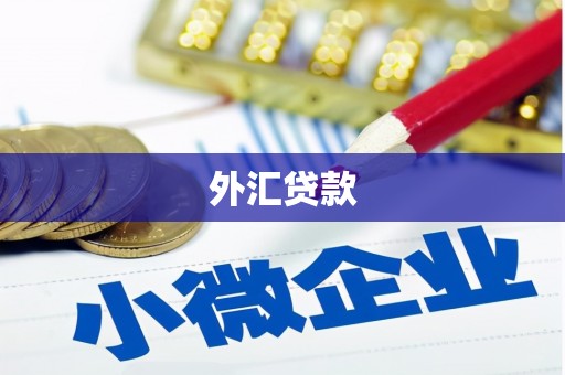 襄汾外汇贷款
