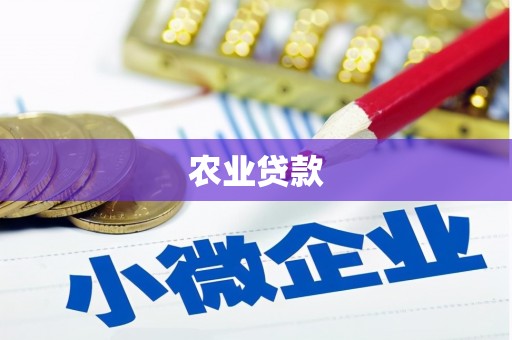 东乡族农业贷款