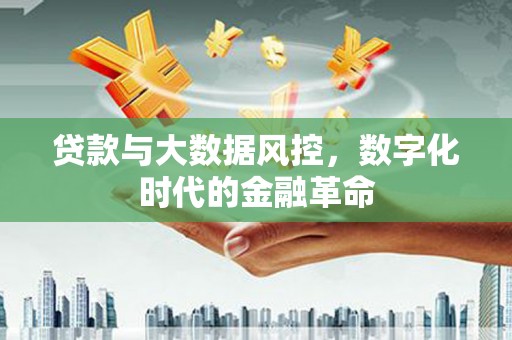 杂多贷款与大数据风控，数字化时代的金融革命