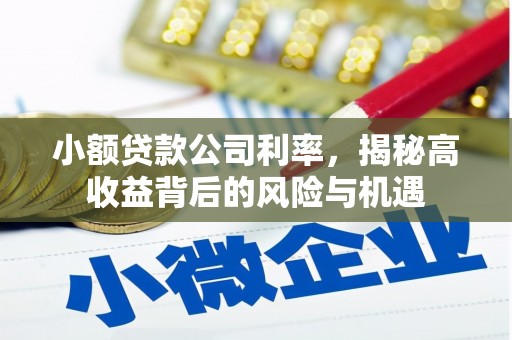 芙蓉小额贷款公司利率，揭秘高收益背后的风险与机遇