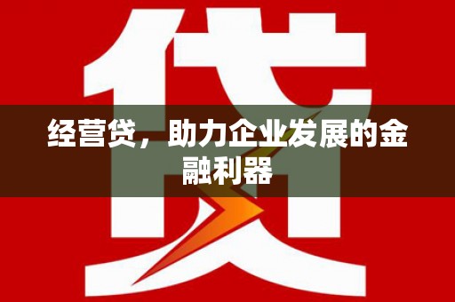 九台经营贷，助力企业发展的金融利器