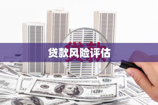 港闸贷款风险评估