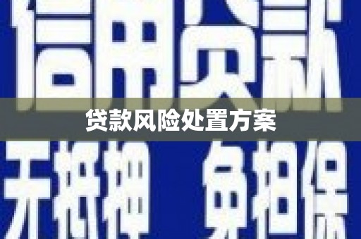 沈河贷款风险处置方案