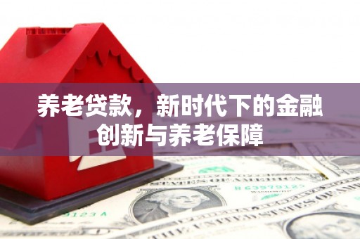 隆子养老贷款，新时代下的金融创新与养老保障