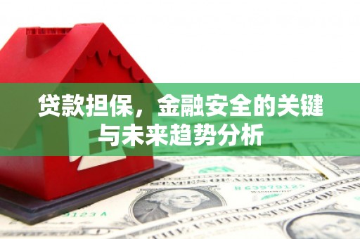 八宿贷款担保，金融安全的关键与未来趋势分析