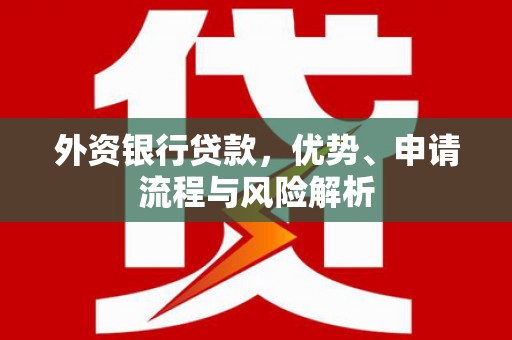 兴庆外资银行贷款，优势、申请流程与风险解析