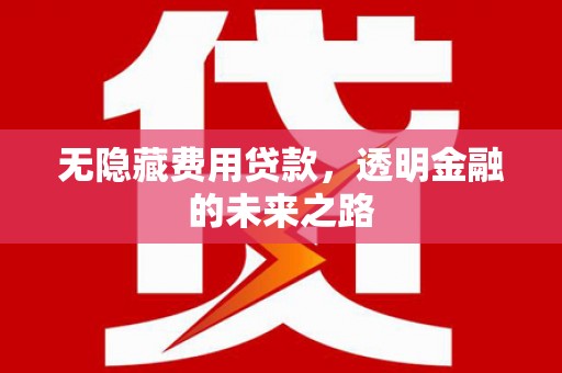 威海无隐藏费用贷款，透明金融的未来之路