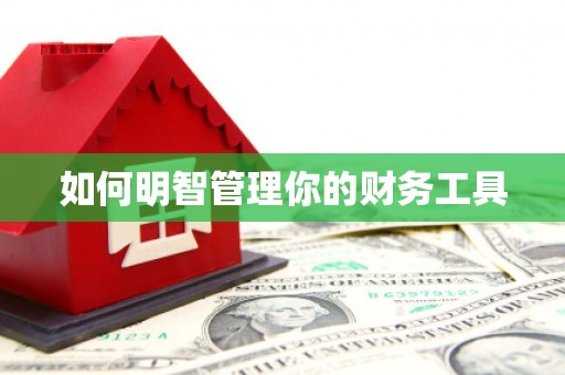 鄱阳如何明智管理你的财务工具