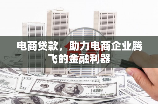 泾源电商贷款，助力电商企业腾飞的金融利器