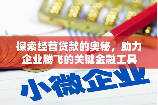 中卫探索经营贷款的奥秘，助力企业腾飞的关键金融工具