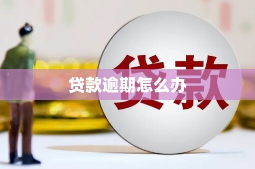 临淄贷款逾期怎么办