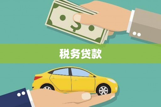 额济纳旗税务贷款