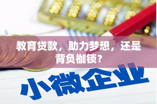 圣方济各堂区教育贷款，助力梦想，还是背负枷锁？