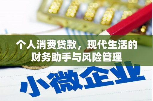 旺苍个人消费贷款，现代生活的财务助手与风险管理