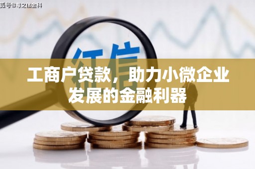 九龙城工商户贷款，助力小微企业发展的金融利器