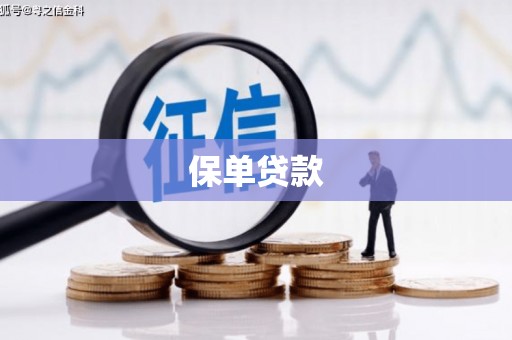 蓬江保单贷款