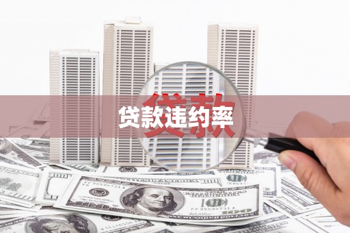 松溪贷款违约率