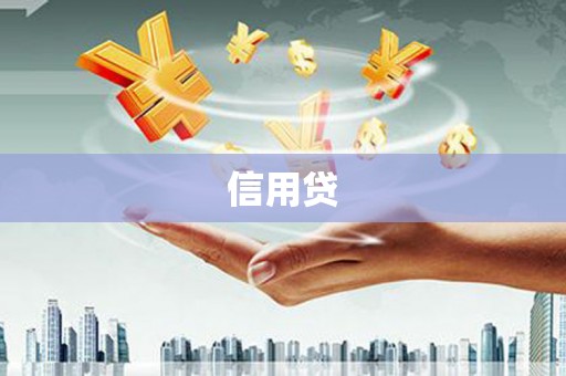 柳东信用贷