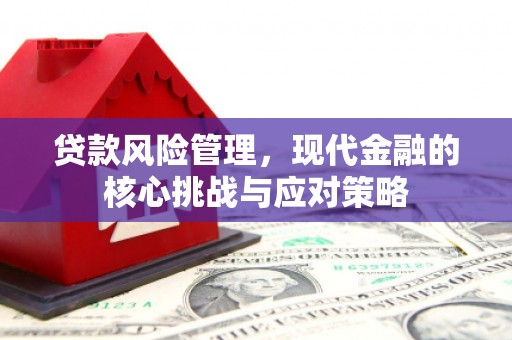 西秀贷款风险管理，现代金融的核心挑战与应对策略
