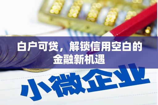 南票白户可贷，解锁信用空白的金融新机遇
