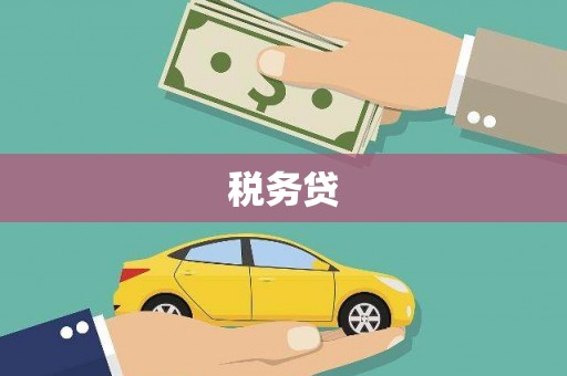 镇平税务贷