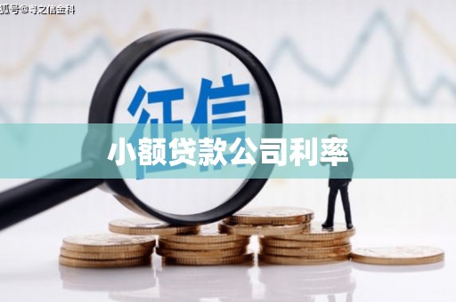 西华小额贷款公司利率