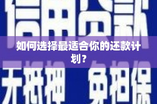 修水如何选择最适合你的还款计划？