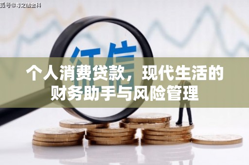 稻城个人消费贷款，现代生活的财务助手与风险管理