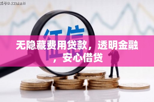九龙城无隐藏费用贷款，透明金融，安心借贷