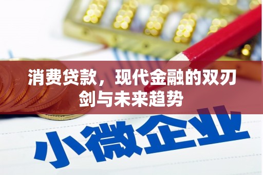 龙潭消费贷款，现代金融的双刃剑与未来趋势