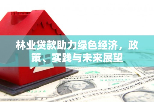 光明新区林业贷款助力绿色经济，政策、实践与未来展望
