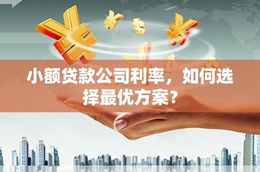 涧西小额贷款公司利率，如何选择最优方案？