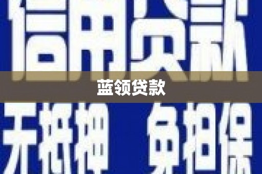 新蔡蓝领贷款