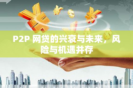张湾P2P 网贷的兴衰与未来，风险与机遇并存