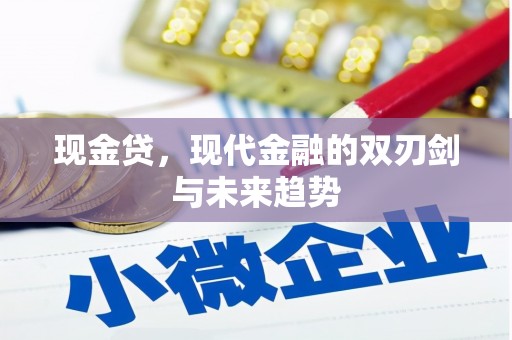 美姑现金贷，现代金融的双刃剑与未来趋势