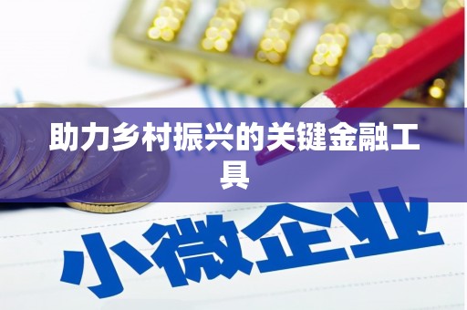 岳塘助力乡村振兴的关键金融工具