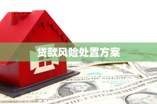 连山贷款风险处置方案