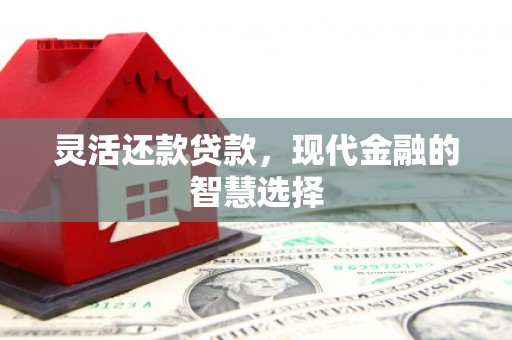 江岸灵活还款贷款，现代金融的智慧选择