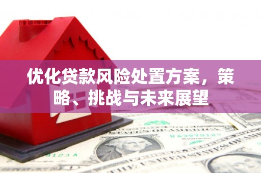 六安优化贷款风险处置方案，策略、挑战与未来展望