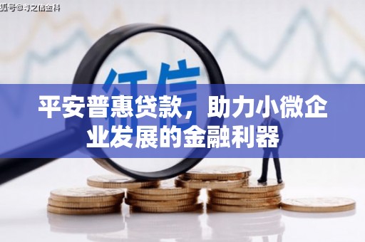 嵊州平安普惠贷款，助力小微企业发展的金融利器