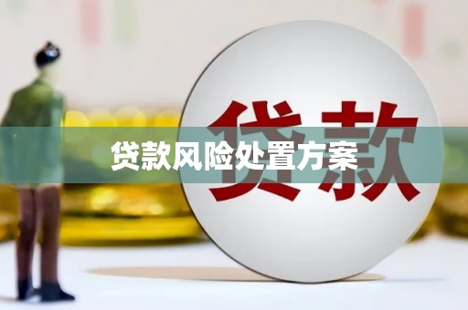 雨花贷款风险处置方案