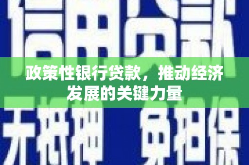 梁河政策性银行贷款，推动经济发展的关键力量
