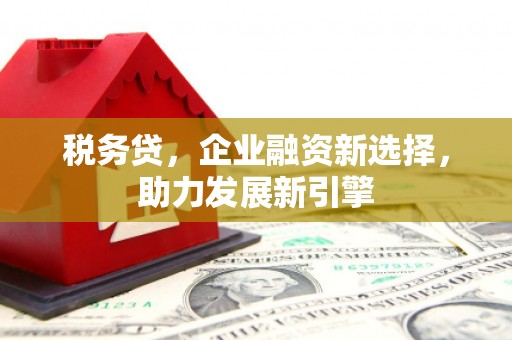 九台税务贷，企业融资新选择，助力发展新引擎
