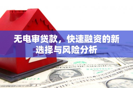 川汇无电审贷款，快速融资的新选择与风险分析