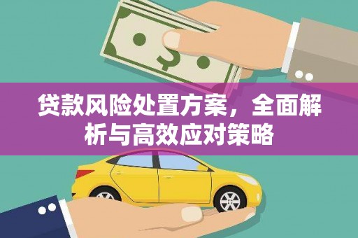 肃北贷款风险处置方案，全面解析与高效应对策略