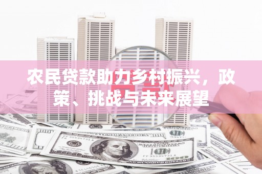 巴楚农民贷款助力乡村振兴，政策、挑战与未来展望
