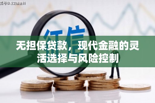 无极无担保贷款，现代金融的灵活选择与风险控制