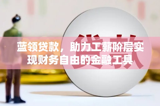 狮子蓝领贷款，助力工薪阶层实现财务自由的金融工具