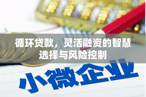 镇坪循环贷款，灵活融资的智慧选择与风险控制