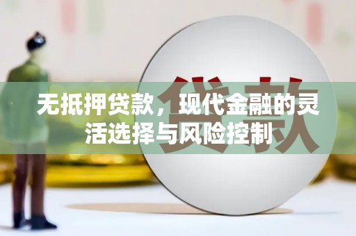道县无抵押贷款，现代金融的灵活选择与风险控制